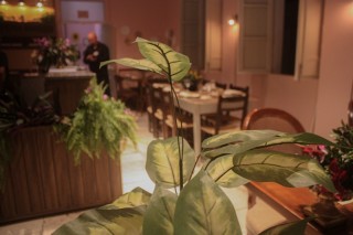 
<a style='margin-left: 5px;' class='btn btn-xs btn-social btn-facebook' href='https://www.facebook.com/sharer/sharer.php?u=https://www.galeramix.com.br/imagem/a109/800-800-90/conteudo/site_galerias/109/nona-cre-tijucas-jantar-dia-dos-namorados-galeramix-30.jpg' rel='popup' data-width='500' data-height='400'><i class='fa fa-facebook'></i>Compartilhar <span class='hidden-xs'>no Facebook</span>
</a> 
<a class='btn btn-default btn-xs' target='_blank' href='imagem/a109/800-800-90/conteudo/site_galerias/109/nona-cre-tijucas-jantar-dia-dos-namorados-galeramix-30.jpg'>
<span class='glyphicon glyphicon-cloud-download'></span> Salvar
</a>
