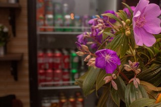 
<a style='margin-left: 5px;' class='btn btn-xs btn-social btn-facebook' href='https://www.facebook.com/sharer/sharer.php?u=https://www.galeramix.com.br/imagem/a109/800-800-90/conteudo/site_galerias/109/nona-cre-tijucas-jantar-dia-dos-namorados-galeramix-36.jpg' rel='popup' data-width='500' data-height='400'><i class='fa fa-facebook'></i>Compartilhar <span class='hidden-xs'>no Facebook</span>
</a> 
<a class='btn btn-default btn-xs' target='_blank' href='imagem/a109/800-800-90/conteudo/site_galerias/109/nona-cre-tijucas-jantar-dia-dos-namorados-galeramix-36.jpg'>
<span class='glyphicon glyphicon-cloud-download'></span> Salvar
</a>
