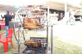 <a style='margin-left: 5px;' class='btn btn-xs btn-social btn-facebook' href='https://www.facebook.com/sharer/sharer.php?u=https://www.galeramix.com.br/imagem/a163/800-800-90/conteudo/site_galerias/163/gustavo-lima-costelaco-junior-seco-galeramix-262.jpg' rel='popup' data-width='500' data-height='400'><i class='fa fa-facebook'></i>Compartilhar <span class='hidden-xs'>no Facebook</span></a> <a class='btn btn-default btn-xs' target='_blank' href='imagem/a163/800-800-90/conteudo/site_galerias/163/gustavo-lima-costelaco-junior-seco-galeramix-262.jpg'><span class='glyphicon glyphicon-cloud-download'></span> Salvar</a>