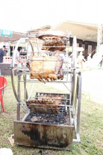 <a style='margin-left: 5px;' class='btn btn-xs btn-social btn-facebook' href='https://www.facebook.com/sharer/sharer.php?u=https://www.galeramix.com.br/imagem/a163/800-800-90/conteudo/site_galerias/163/gustavo-lima-costelaco-junior-seco-galeramix-263.jpg' rel='popup' data-width='500' data-height='400'><i class='fa fa-facebook'></i>Compartilhar <span class='hidden-xs'>no Facebook</span></a> <a class='btn btn-default btn-xs' target='_blank' href='imagem/a163/800-800-90/conteudo/site_galerias/163/gustavo-lima-costelaco-junior-seco-galeramix-263.jpg'><span class='glyphicon glyphicon-cloud-download'></span> Salvar</a>