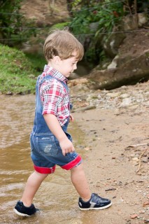 
                        <a style='margin-left: 5px;' class='btn btn-xs btn-social btn-facebook' href='https://www.facebook.com/sharer/sharer.php?u=https://www.galeramix.com.br/imagem/a27/800-800-90/conteudo/site_galerias/27/pi-134.jpg' rel='popup' data-width='500' data-height='400'><i class='fa fa-facebook'></i>Compartilhar <span class='hidden-xs'>no Facebook</span>
                    </a> 
                    <a class='btn btn-default btn-xs' target='_blank' href='imagem/a27/800-800-90/conteudo/site_galerias/27/pi-134.jpg'>
                        <span class='glyphicon glyphicon-cloud-download'></span> Salvar
                    </a>
                    