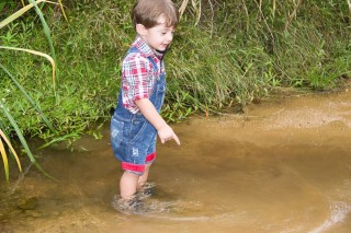 
                    <a style='margin-left: 5px;' class='btn btn-xs btn-social btn-facebook' href='https://www.facebook.com/sharer/sharer.php?u=https://www.galeramix.com.br/imagem/a27/800-800-90/conteudo/site_galerias/27/pi-142.jpg' rel='popup' data-width='500' data-height='400'><i class='fa fa-facebook'></i>Compartilhar <span class='hidden-xs'>no Facebook</span>
                </a> 
                <a class='btn btn-default btn-xs' target='_blank' href='imagem/a27/800-800-90/conteudo/site_galerias/27/pi-142.jpg'>
                    <span class='glyphicon glyphicon-cloud-download'></span> Salvar
                </a>
                