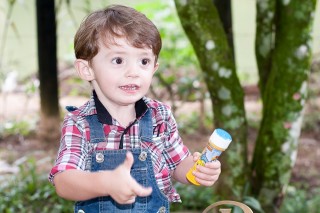 
                <a style='margin-left: 5px;' class='btn btn-xs btn-social btn-facebook' href='https://www.facebook.com/sharer/sharer.php?u=https://www.galeramix.com.br/imagem/a27/800-800-90/conteudo/site_galerias/27/pi-165.jpg' rel='popup' data-width='500' data-height='400'><i class='fa fa-facebook'></i>Compartilhar <span class='hidden-xs'>no Facebook</span>
            </a> 
            <a class='btn btn-default btn-xs' target='_blank' href='imagem/a27/800-800-90/conteudo/site_galerias/27/pi-165.jpg'>
                <span class='glyphicon glyphicon-cloud-download'></span> Salvar
            </a>
            