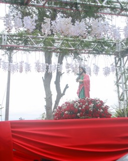 
<a style='margin-left: 5px;' class='btn btn-xs btn-social btn-facebook' href='https://www.facebook.com/sharer/sharer.php?u=https://www.galeramix.com.br/imagem/a33/800-800-90/conteudo/site_galerias/33/caminhoneiro-12.jpg' rel='popup' data-width='500' data-height='400'><i class='fa fa-facebook'></i>Compartilhar <span class='hidden-xs'>no Facebook</span>
</a> 
<a class='btn btn-default btn-xs' target='_blank' href='imagem/a33/800-800-90/conteudo/site_galerias/33/caminhoneiro-12.jpg'>
<span class='glyphicon glyphicon-cloud-download'></span> Salvar
</a>
