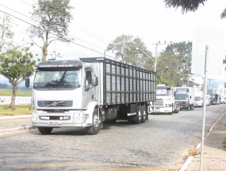 
<a style='margin-left: 5px;' class='btn btn-xs btn-social btn-facebook' href='https://www.facebook.com/sharer/sharer.php?u=https://www.galeramix.com.br/imagem/a33/800-800-90/conteudo/site_galerias/33/caminhoneiro-88.jpg' rel='popup' data-width='500' data-height='400'><i class='fa fa-facebook'></i>Compartilhar <span class='hidden-xs'>no Facebook</span>
</a> 
<a class='btn btn-default btn-xs' target='_blank' href='imagem/a33/800-800-90/conteudo/site_galerias/33/caminhoneiro-88.jpg'>
<span class='glyphicon glyphicon-cloud-download'></span> Salvar
</a>
