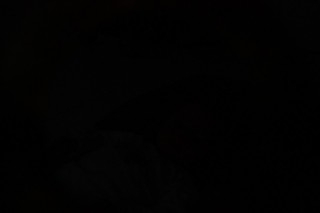 
                                    <a style='margin-left: 5px;' class='btn btn-xs btn-social btn-facebook' href='https://www.facebook.com/sharer/sharer.php?u=https://www.galeramix.com.br/imagem/a55/800-800-90/conteudo/site_galerias/55/img8380.jpg' rel='popup' data-width='500' data-height='400'><i class='fa fa-facebook'></i>Compartilhar <span class='hidden-xs'>no Facebook</span>
                                </a> 
                                <a class='btn btn-default btn-xs' target='_blank' href='imagem/a55/800-800-90/conteudo/site_galerias/55/img8380.jpg'>
                                    <span class='glyphicon glyphicon-cloud-download'></span> Salvar
                                </a>
                                