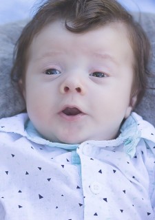 
<a style='margin-left: 5px;' class='btn btn-xs btn-social btn-facebook' href='https://www.facebook.com/sharer/sharer.php?u=https://www.galeramix.com.br/imagem/a7/800-800-90/conteudo/site_galerias/7/benjamin-2-meses-46.jpg' rel='popup' data-width='500' data-height='400'><i class='fa fa-facebook'></i>Compartilhar <span class='hidden-xs'>no Facebook</span>
</a> 
<a class='btn btn-default btn-xs' target='_blank' href='imagem/a7/800-800-90/conteudo/site_galerias/7/benjamin-2-meses-46.jpg'>
<span class='glyphicon glyphicon-cloud-download'></span> Salvar
</a>
