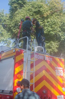 
<a style='margin-left: 5px;' class='btn btn-xs btn-social btn-facebook' href='https://www.facebook.com/sharer/sharer.php?u=https://www.galeramix.com.br/imagem/a77/800-800-90/conteudo/site_galerias/77/aniversario-de-tijucas-galera-mix-casarao-gallotti-4.jpg' rel='popup' data-width='500' data-height='400'><i class='fa fa-facebook'></i>Compartilhar <span class='hidden-xs'>no Facebook</span>
</a> 
<a class='btn btn-default btn-xs' target='_blank' href='imagem/a77/800-800-90/conteudo/site_galerias/77/aniversario-de-tijucas-galera-mix-casarao-gallotti-4.jpg'>
<span class='glyphicon glyphicon-cloud-download'></span> Salvar
</a>
