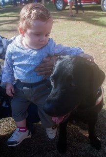 
<a style='margin-left: 5px;' class='btn btn-xs btn-social btn-facebook' href='https://www.facebook.com/sharer/sharer.php?u=https://www.galeramix.com.br/imagem/a77/800-800-90/conteudo/site_galerias/77/aniversario-de-tijucas-galera-mix-casarao-gallotti-64.jpg' rel='popup' data-width='500' data-height='400'><i class='fa fa-facebook'></i>Compartilhar <span class='hidden-xs'>no Facebook</span>
</a> 
<a class='btn btn-default btn-xs' target='_blank' href='imagem/a77/800-800-90/conteudo/site_galerias/77/aniversario-de-tijucas-galera-mix-casarao-gallotti-64.jpg'>
<span class='glyphicon glyphicon-cloud-download'></span> Salvar
</a>
