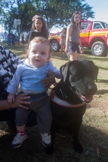 
<a style='margin-left: 5px;' class='btn btn-xs btn-social btn-facebook' href='https://www.facebook.com/sharer/sharer.php?u=https://www.galeramix.com.br/imagem/a77/800-800-90/conteudo/site_galerias/77/aniversario-de-tijucas-galera-mix-casarao-gallotti-65.jpg' rel='popup' data-width='500' data-height='400'><i class='fa fa-facebook'></i>Compartilhar <span class='hidden-xs'>no Facebook</span>
</a> 
<a class='btn btn-default btn-xs' target='_blank' href='imagem/a77/800-800-90/conteudo/site_galerias/77/aniversario-de-tijucas-galera-mix-casarao-gallotti-65.jpg'>
<span class='glyphicon glyphicon-cloud-download'></span> Salvar
</a>
