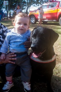 
<a style='margin-left: 5px;' class='btn btn-xs btn-social btn-facebook' href='https://www.facebook.com/sharer/sharer.php?u=https://www.galeramix.com.br/imagem/a77/800-800-90/conteudo/site_galerias/77/aniversario-de-tijucas-galera-mix-casarao-gallotti-66.jpg' rel='popup' data-width='500' data-height='400'><i class='fa fa-facebook'></i>Compartilhar <span class='hidden-xs'>no Facebook</span>
</a> 
<a class='btn btn-default btn-xs' target='_blank' href='imagem/a77/800-800-90/conteudo/site_galerias/77/aniversario-de-tijucas-galera-mix-casarao-gallotti-66.jpg'>
<span class='glyphicon glyphicon-cloud-download'></span> Salvar
</a>
