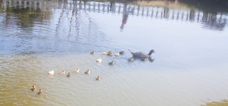 
<a style='margin-left: 5px;' class='btn btn-xs btn-social btn-facebook' href='https://www.facebook.com/sharer/sharer.php?u=https://www.galeramix.com.br/imagem/a77/800-800-90/conteudo/site_galerias/77/aniversario-de-tijucas-galera-mix-casarao-gallotti-67.jpg' rel='popup' data-width='500' data-height='400'><i class='fa fa-facebook'></i>Compartilhar <span class='hidden-xs'>no Facebook</span>
</a> 
<a class='btn btn-default btn-xs' target='_blank' href='imagem/a77/800-800-90/conteudo/site_galerias/77/aniversario-de-tijucas-galera-mix-casarao-gallotti-67.jpg'>
<span class='glyphicon glyphicon-cloud-download'></span> Salvar
</a>
