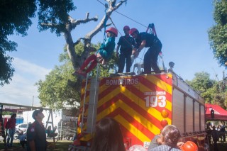 
<a style='margin-left: 5px;' class='btn btn-xs btn-social btn-facebook' href='https://www.facebook.com/sharer/sharer.php?u=https://www.galeramix.com.br/imagem/a77/800-800-90/conteudo/site_galerias/77/aniversario-de-tijucas-galera-mix-casarao-gallotti-7.jpg' rel='popup' data-width='500' data-height='400'><i class='fa fa-facebook'></i>Compartilhar <span class='hidden-xs'>no Facebook</span>
</a> 
<a class='btn btn-default btn-xs' target='_blank' href='imagem/a77/800-800-90/conteudo/site_galerias/77/aniversario-de-tijucas-galera-mix-casarao-gallotti-7.jpg'>
<span class='glyphicon glyphicon-cloud-download'></span> Salvar
</a>
