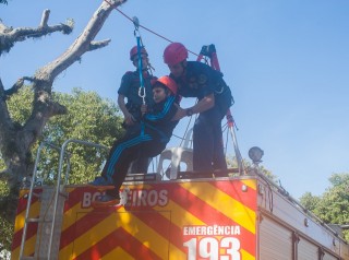 
<a style='margin-left: 5px;' class='btn btn-xs btn-social btn-facebook' href='https://www.facebook.com/sharer/sharer.php?u=https://www.galeramix.com.br/imagem/a77/800-800-90/conteudo/site_galerias/77/aniversario-de-tijucas-galera-mix-casarao-gallotti-8.jpg' rel='popup' data-width='500' data-height='400'><i class='fa fa-facebook'></i>Compartilhar <span class='hidden-xs'>no Facebook</span>
</a> 
<a class='btn btn-default btn-xs' target='_blank' href='imagem/a77/800-800-90/conteudo/site_galerias/77/aniversario-de-tijucas-galera-mix-casarao-gallotti-8.jpg'>
<span class='glyphicon glyphicon-cloud-download'></span> Salvar
</a>
